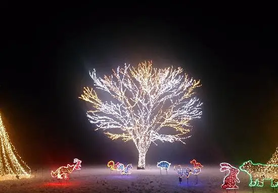 나가오카