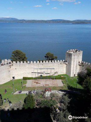 Rocca del Leone