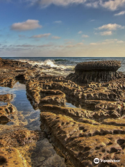 Mushroom Beach House