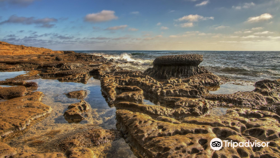 Mushroom Beach House