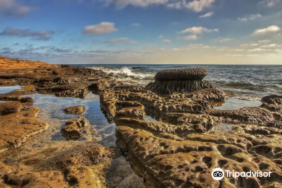 Mushroom Beach