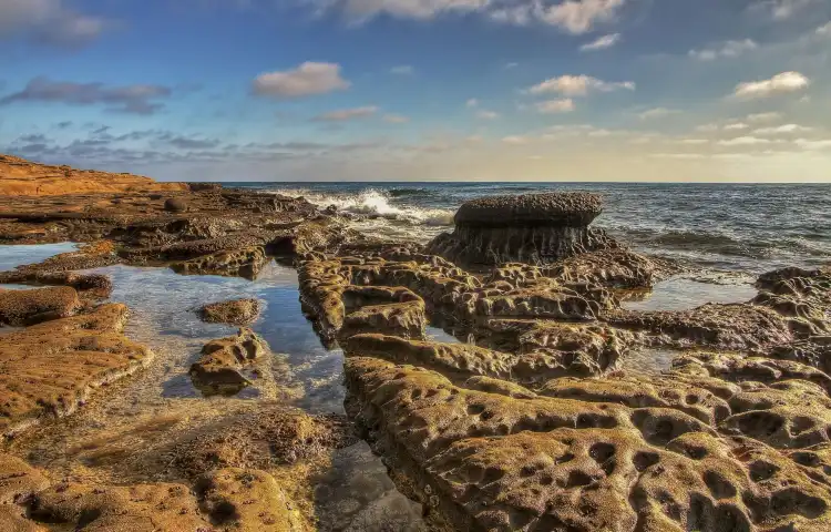 Hotels near Mushroom Beach House