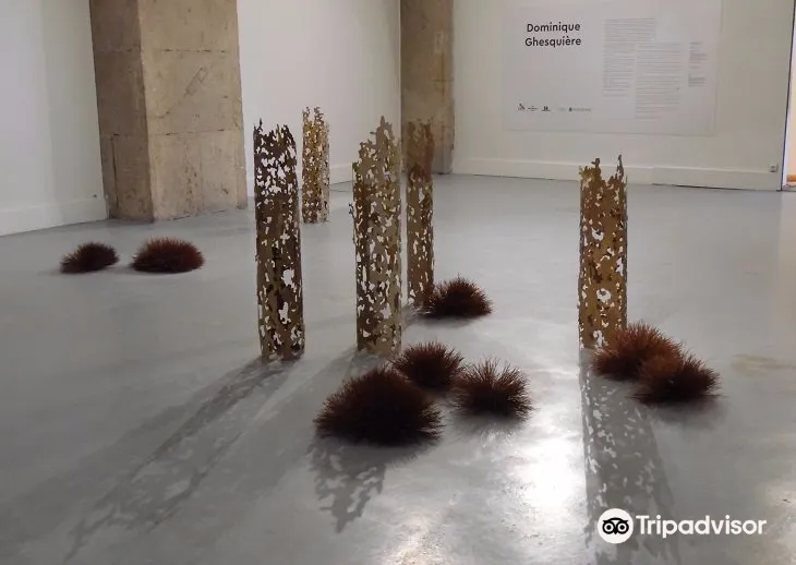 4_Gallery Ponchettes