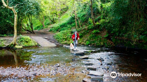 Rivelin Valley Nature Trail