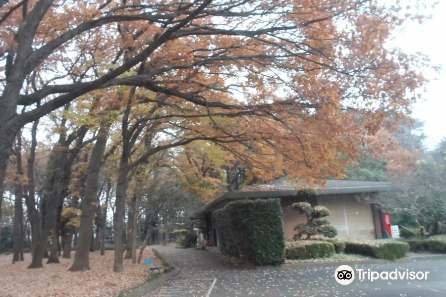 さいたま水上公園