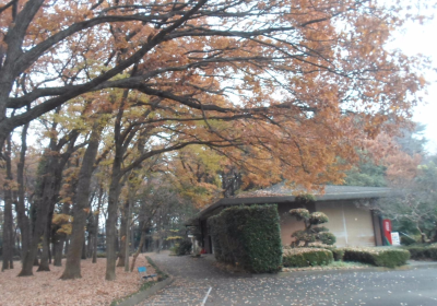 さいたま水上公園