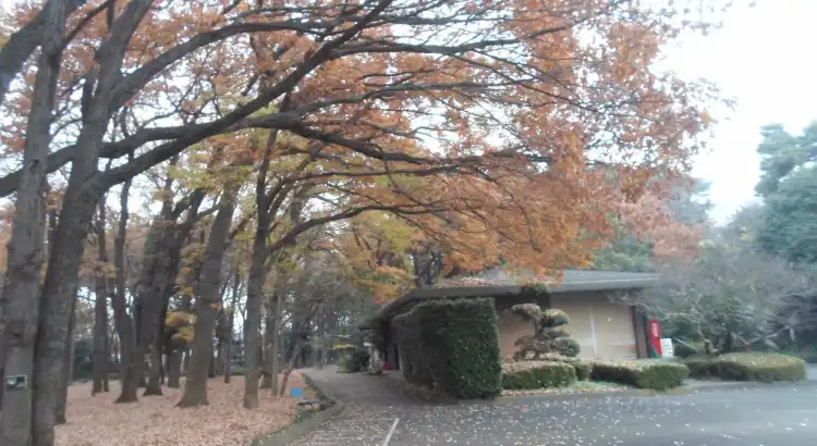 Hotels near Saitama Water Park