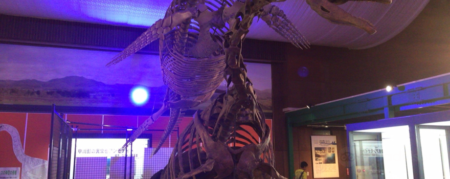 Nakagawa Ecomuseum