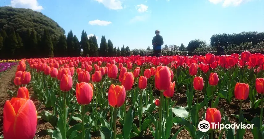 Tadano Togawa park