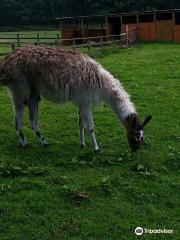 Brockswood Animal Sanctuary