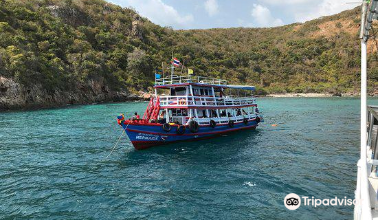 No Limit Divers 5* IDC Center