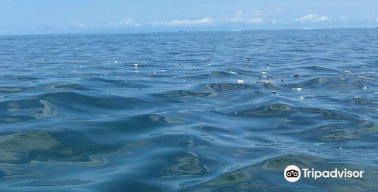 Tun Sakaran Marine Park, Semporna, Sabah.
