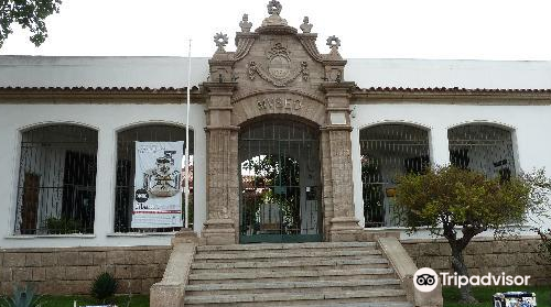 Archaeological Museum of La Serena