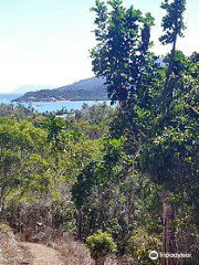 Airlie Creek Track