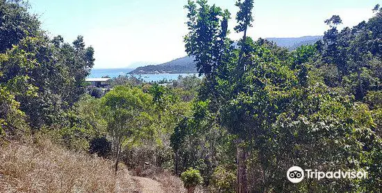 Airlie Creek Track