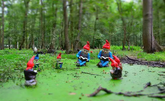 Hotels near Gnome Magic Garden