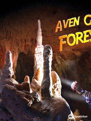 Aven Grotte Forestiere