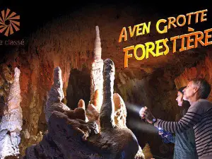 Aven Grotte Forestiere