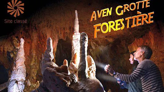 Aven Grotte Forestiere