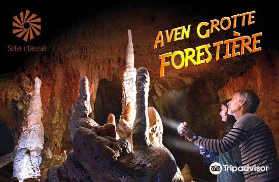 Aven Grotte Forestiere