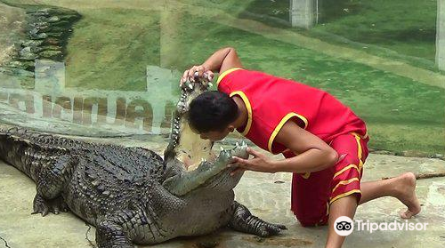 北欖府鱷魚湖動物園