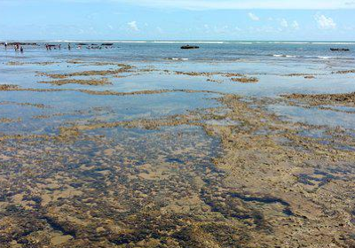 Piscinas Naturais