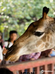 大南動物園