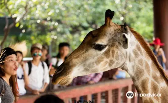 大南動物園