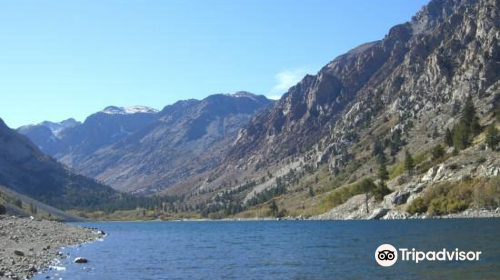 Inyo National Forest