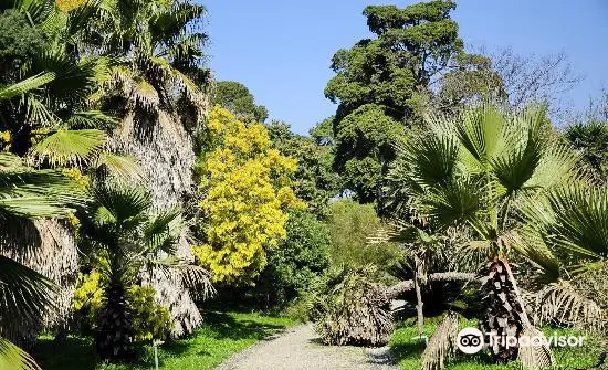 Thuret Garden (Jardin Thuret )