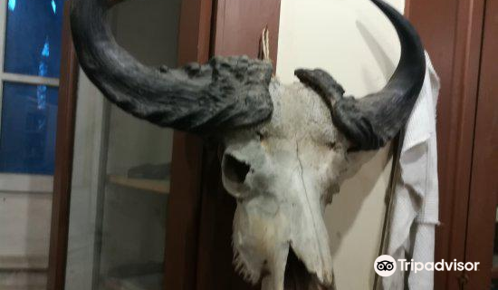 Musee d'Histoire Naturelle de Chambery