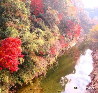 21市原市旅遊攻略 市原市好去處 市原市觀光景點21 Trip Com 21市原市旅遊攻略 市原市好去處 市原市觀光景點21 Trip Com