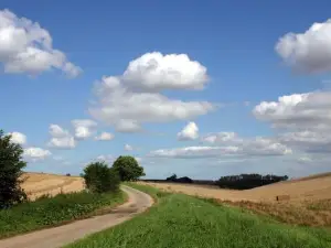 Lincolnshire Wolds Countryside Service