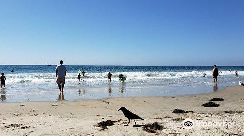 Salt Creek Beach