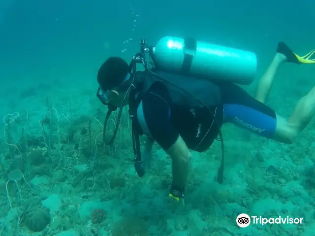 Scuba Diving in Phu Quoc Island