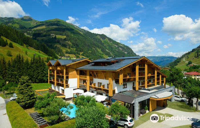 Hotel Alpina