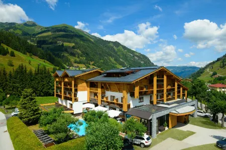 Hotel Alpina Отели в г. Гемайнде Раурис