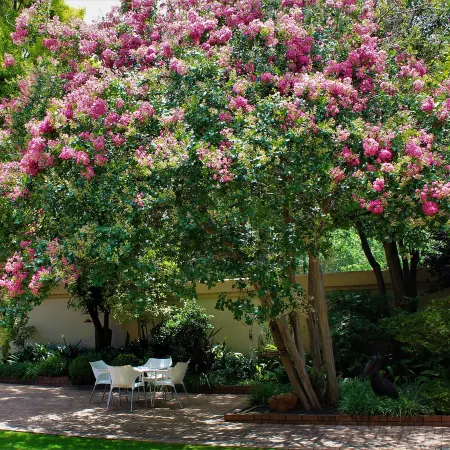 Del Roza Guest House