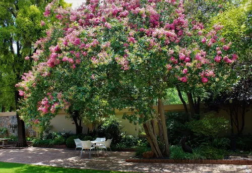 Del Roza Guest House Hotels in Nkangala