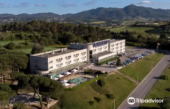 奧古斯塔瓦萊斯酒店