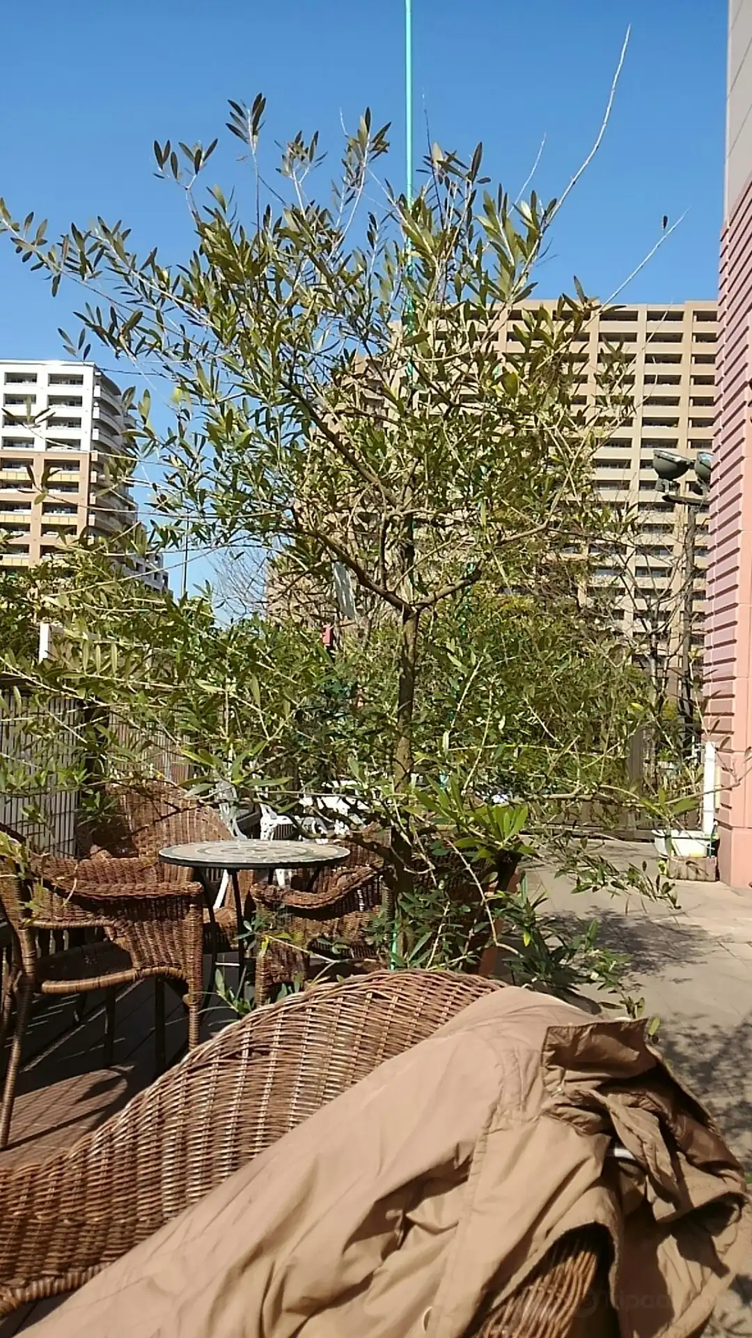 스나모 주변 호텔