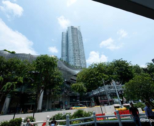 シンガポール マリオット タン プラザ ホテル ステイケーション承認済み シンガポール 宿泊予約 安い料金プラン 口コミ 部屋写真 Trip Com