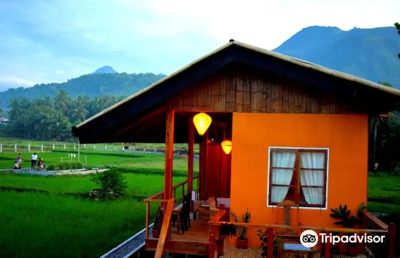 格雷拉稻田別墅