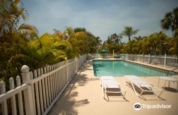 我的薩拉索塔度假勝地