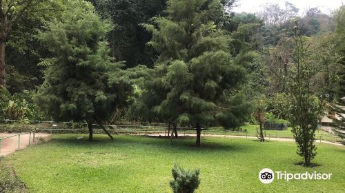 Jardin Botanico La Laguna