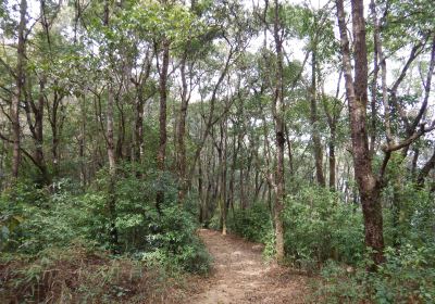 Nagarjun Forest Reserve