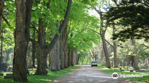 Oak Grove Cemetery