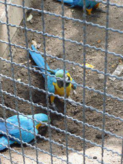 Parque Zoologico La Guaricha