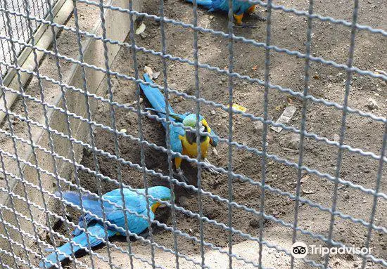 Parque Zoologico La Guaricha