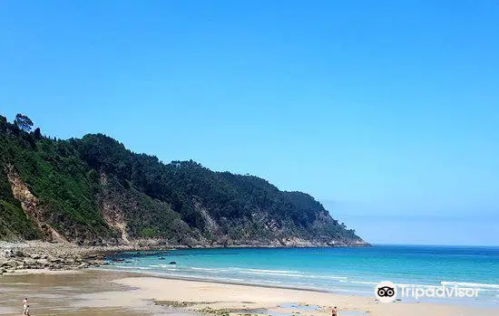 Playa Concha de Artedo